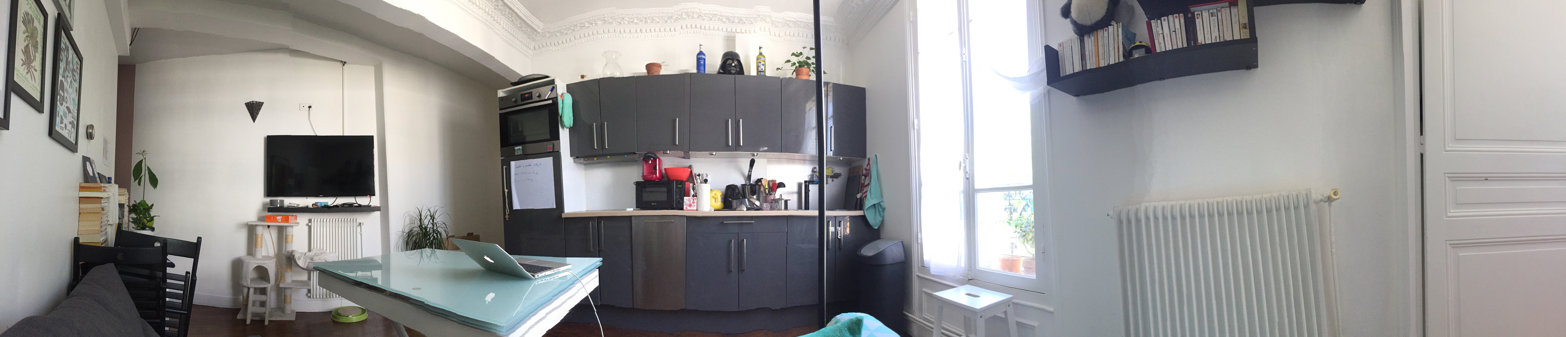 Bonsoir à toutes, Voici un plan de mon appartement et un panoramique de la vue du canapé de mon sa