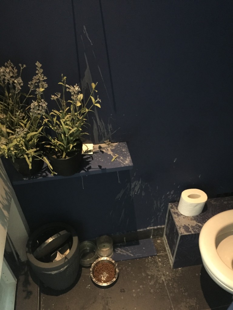 Et hop je suis en forme aujourd’hui ! J’avais ce mur abîmé depuis ma soirée d’halloween où